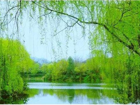 三月三怎么過？邁世帶您看三月三